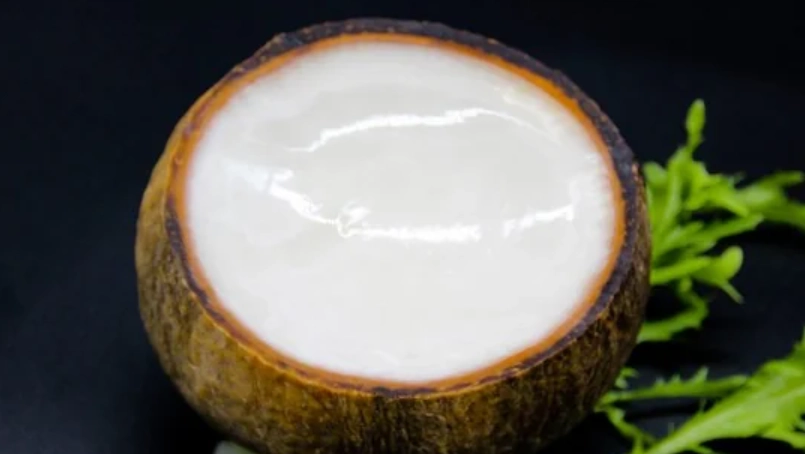 椰子肉營養價值