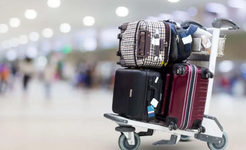 入境台灣違禁品 入境台灣違禁品