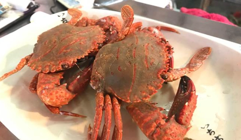 金門海鮮餐廳推薦 金門海鮮餐廳推薦