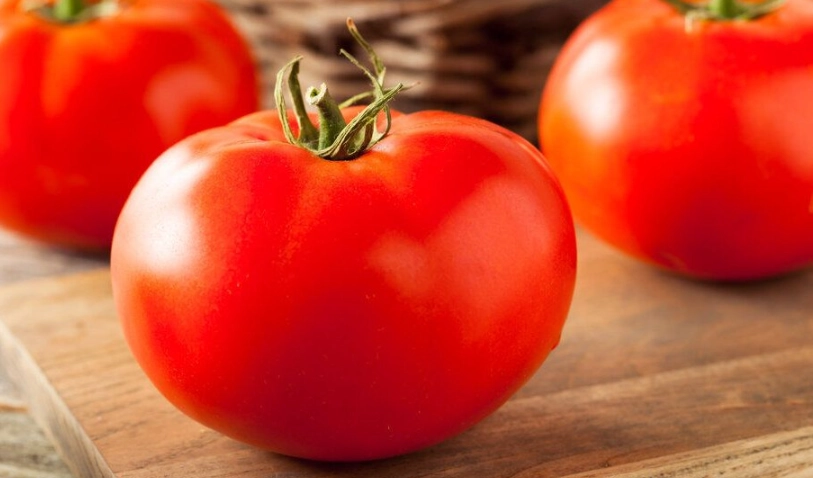 台灣番茄品種