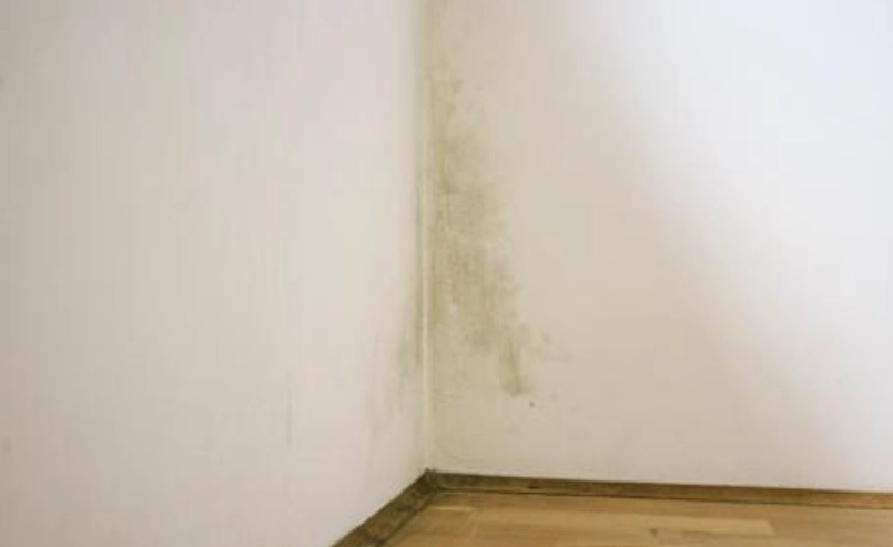 漂白水清潔比例