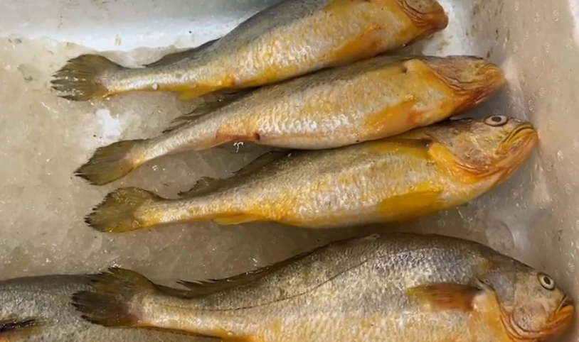 金門海鮮餐廳推薦 金門海鮮餐廳推薦