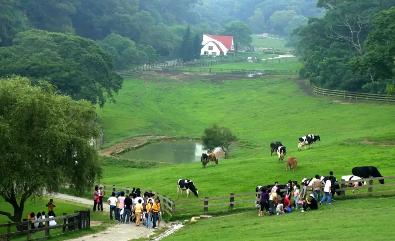 苗栗旅遊 苗栗旅遊
