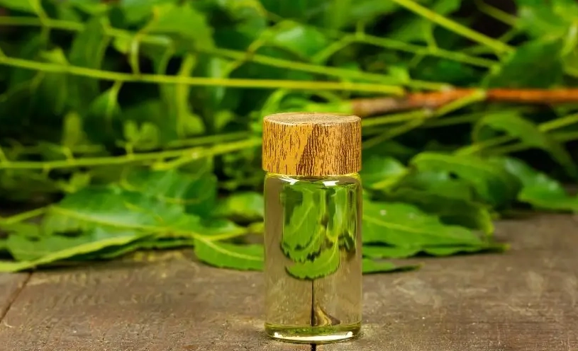 樹木生病怎麼辦