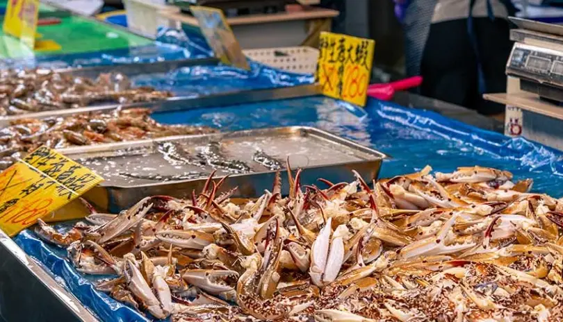 金門海產哪裡買 金門海產哪裡買