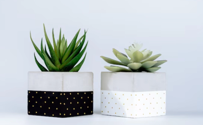 懶人花盆DIY全攻略：手作澆水神器，告別植物殺手稱號