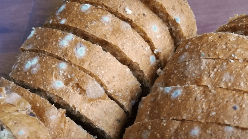 發霉食物中毒症狀