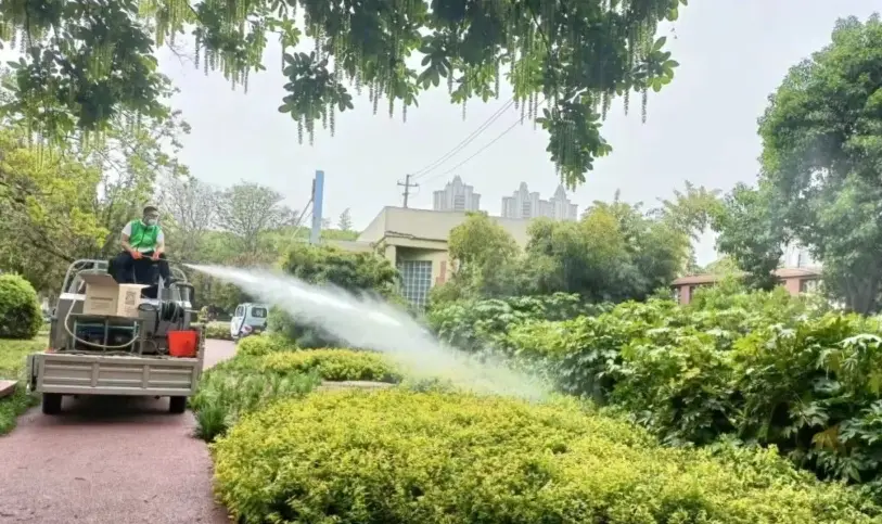 台灣常見樹木病害