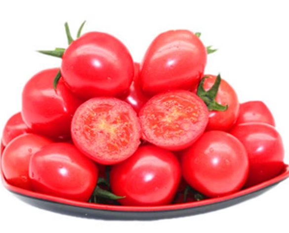 番茄品種 番茄品種