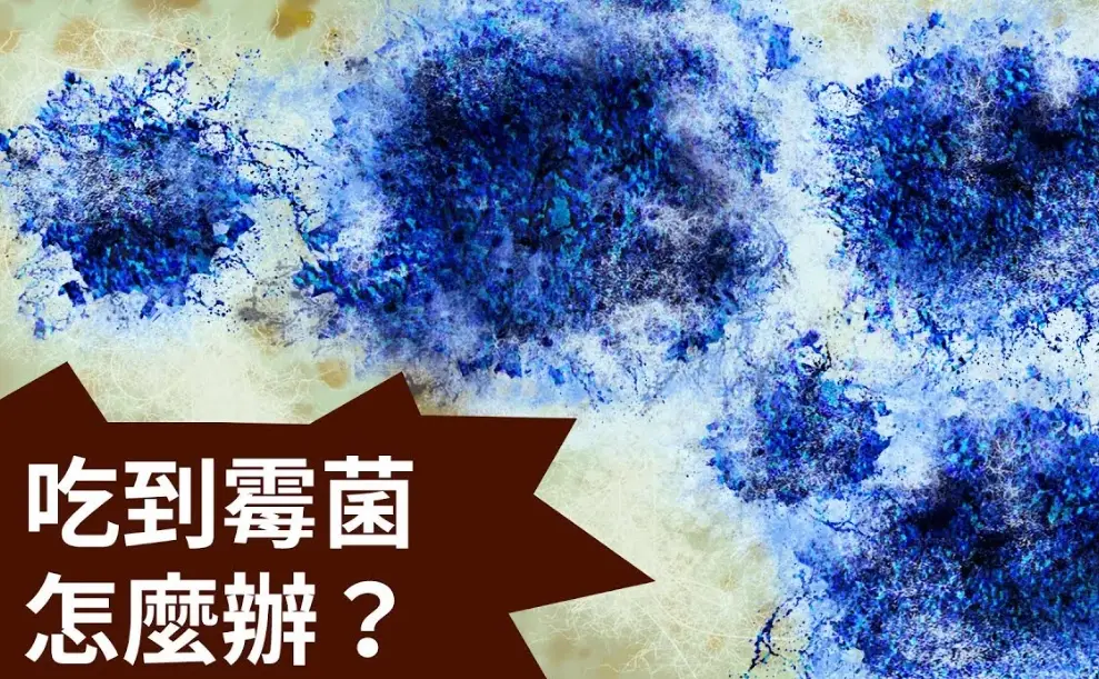 吃到黴菌怎麼辦？別慌！醫師教你5步驟緊急處理與長期觀察重點
