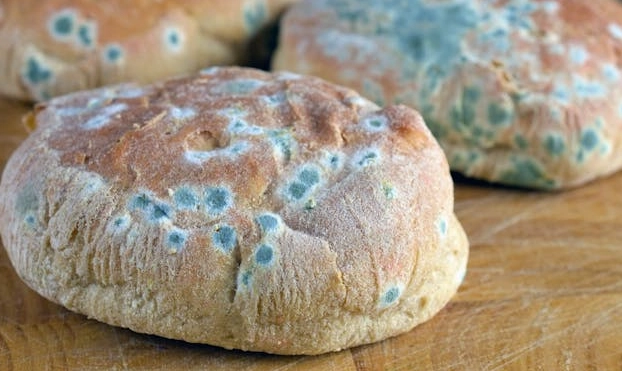 黴菌中毒症狀 黴菌中毒症狀