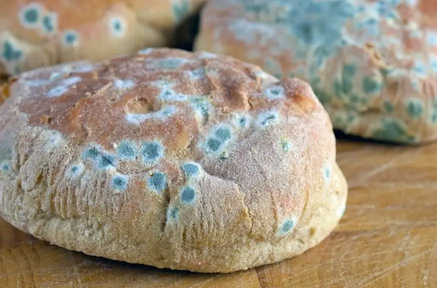 吃到發霉的東西會怎麼樣