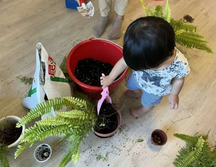 植物 葉子 發黃 怎麼辦 植物 葉子 發黃 怎麼辦