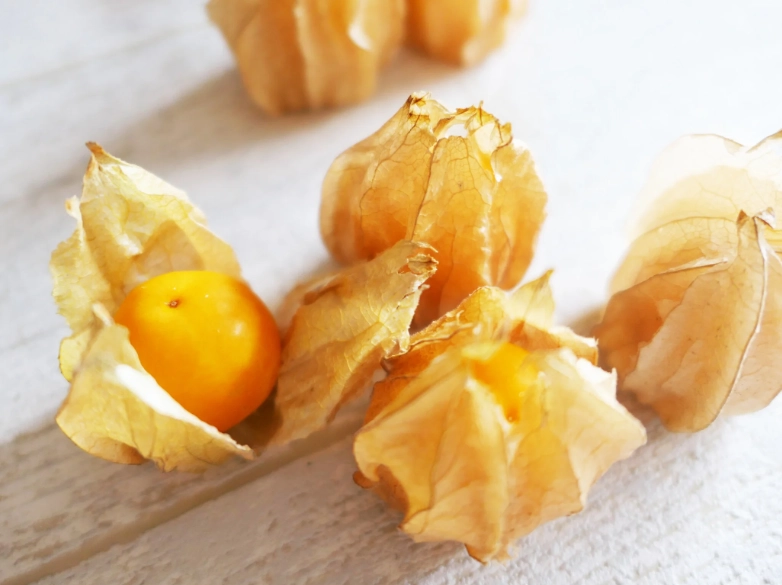 燈籠果禁忌 燈籠果禁忌