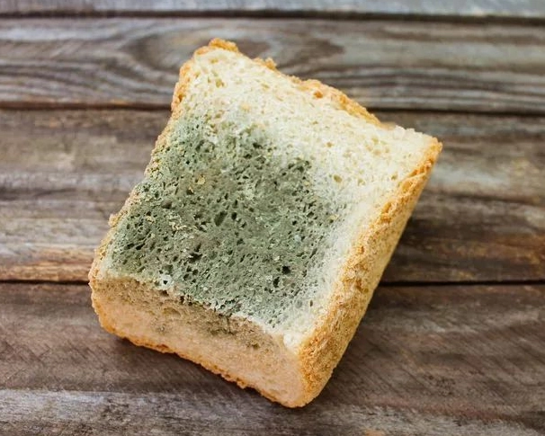 吃到黴菌 吃到黴菌