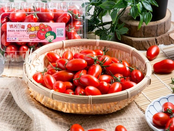 番茄品種 番茄品種