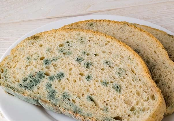 食物發霉處理 食物發霉處理