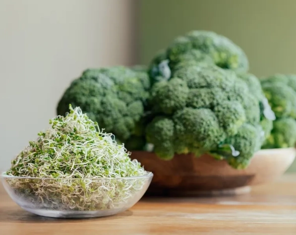 青花椰苗 自己種