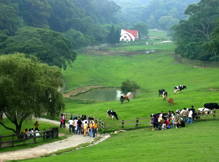 台中親子景點推薦 台中親子景點推薦