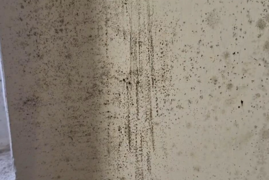 牆壁發霉誰負責