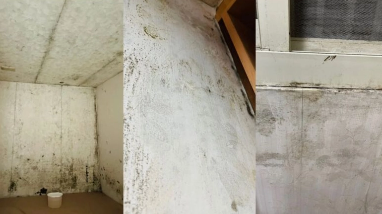 牆壁發霉誰負責