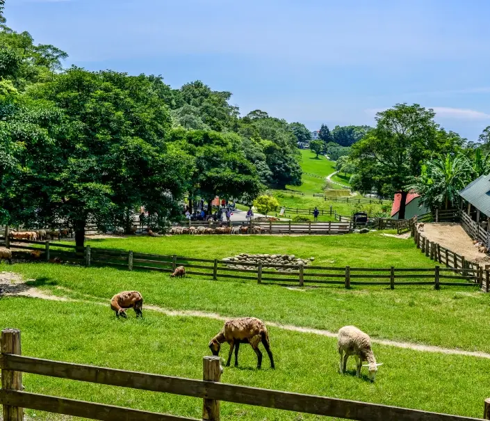 親子一日遊行程 親子一日遊行程