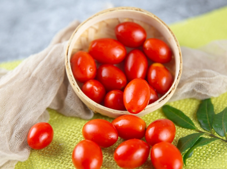 紅運小番茄 種植