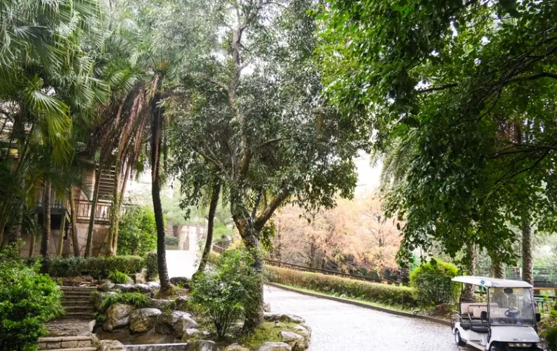 桃園溫泉飯店推薦