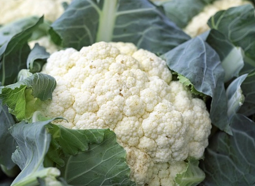 花椰菜安全食用