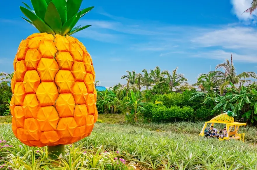 沖繩6天5夜行程