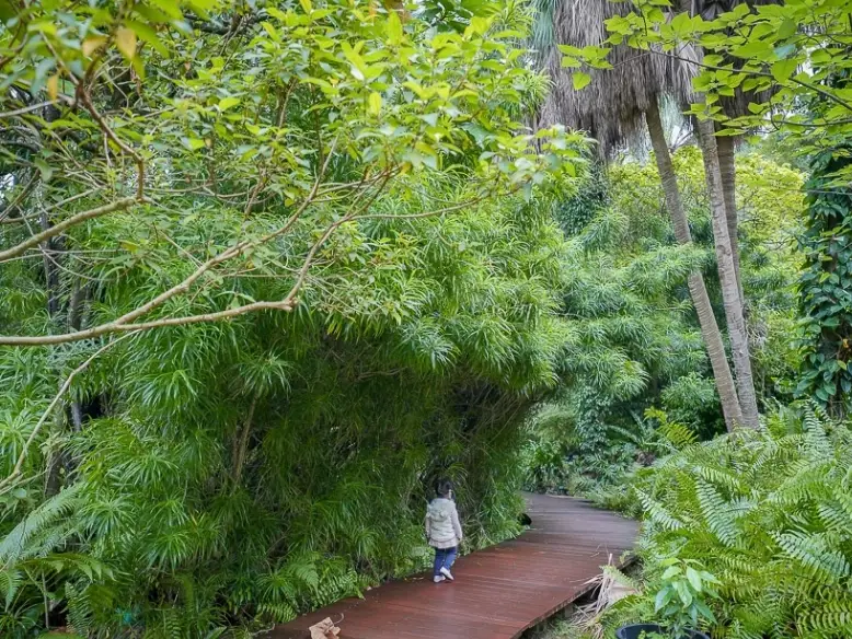 台北植物園停車