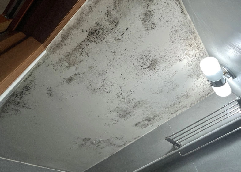 浴室黴菌清除