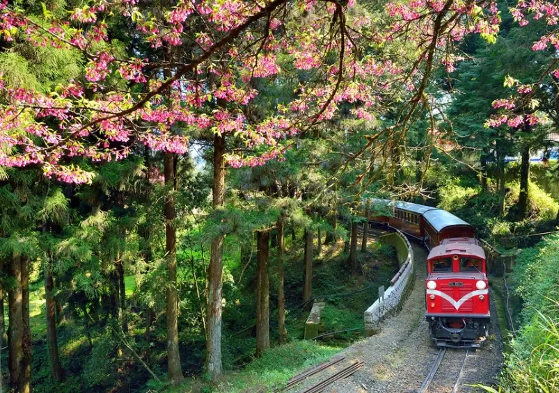 嘉義縣兒童遊樂