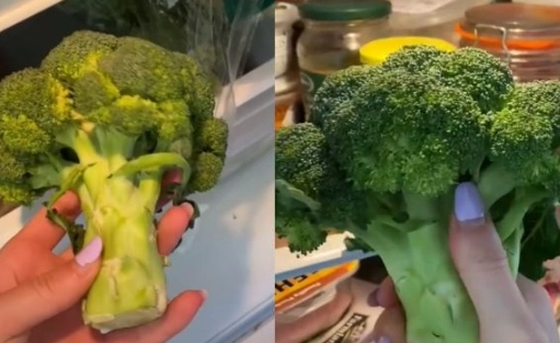 花椰菜變黃原因