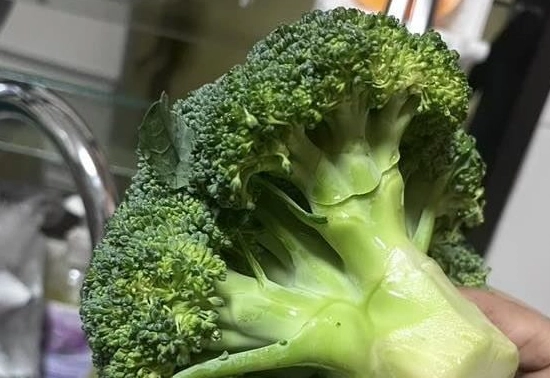 花椰菜變黃原因