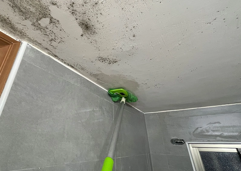 天花板黴菌處理