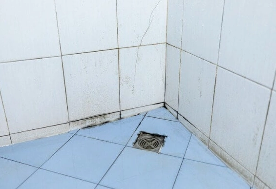 浴室磁磚發霉