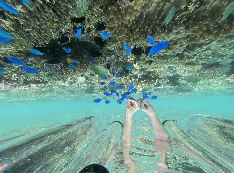 瀨底島 水上活動