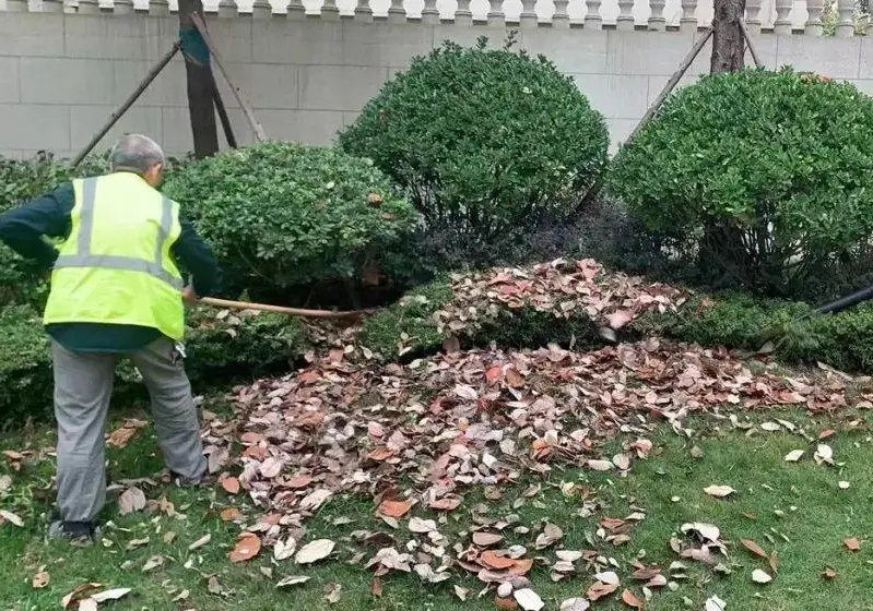 修剪工具消毒