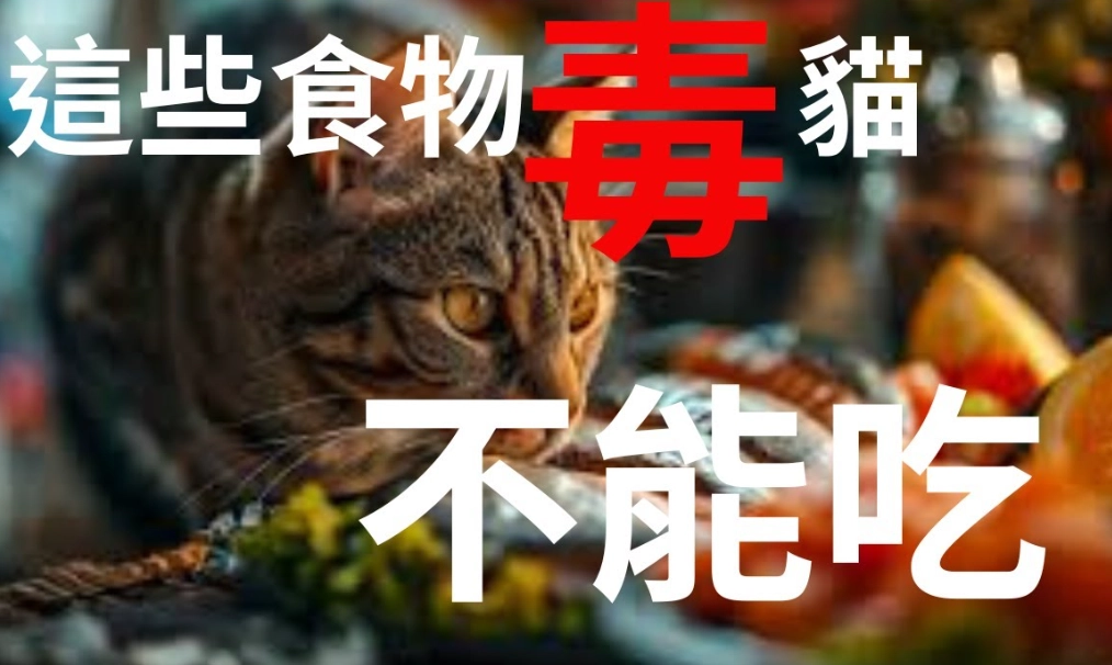 對貓有毒的食物