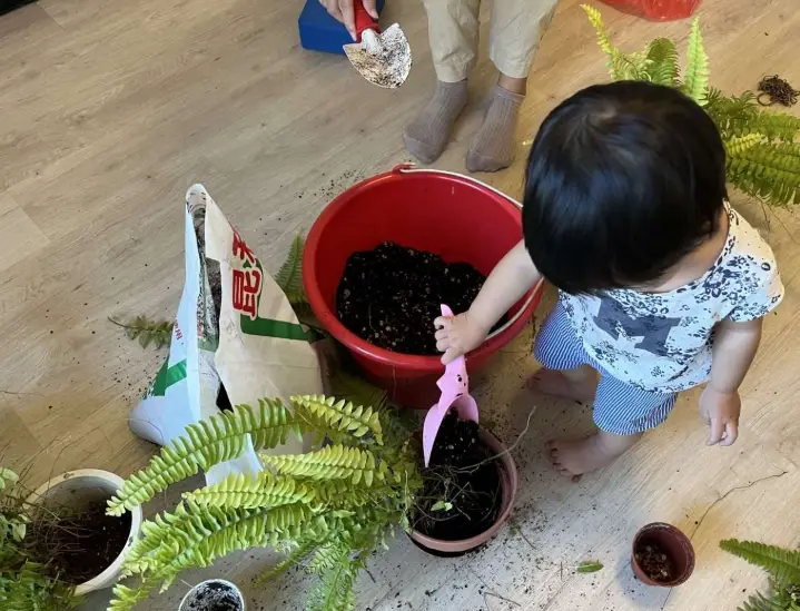 植物照顧