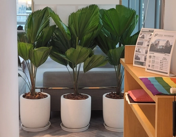 植物照顧