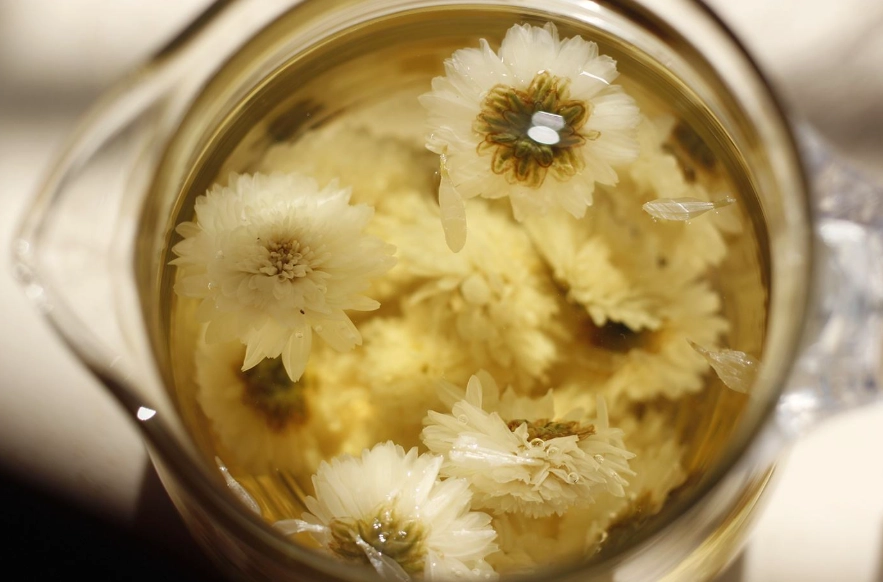 菊花茶禁忌