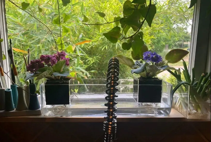 自動澆水花盆