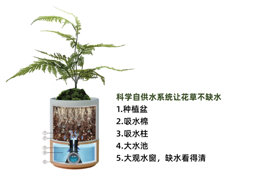 自動澆水花盆