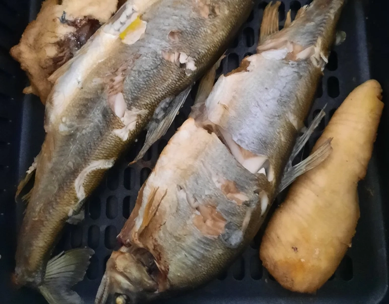 氣炸吳郭魚時間 氣炸吳郭魚時間