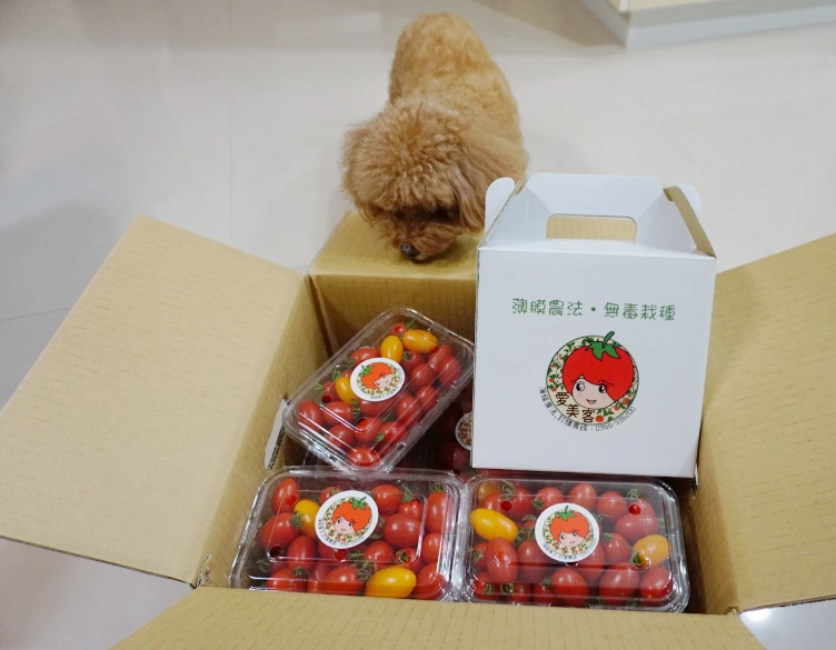 著果劑使用方法