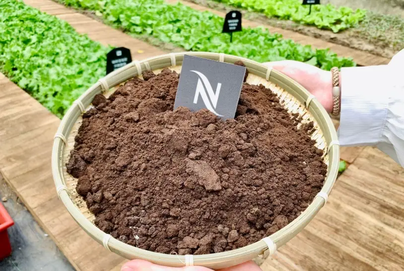 咖啡渣堆肥制作方法