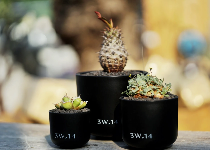 3吋盆尺寸