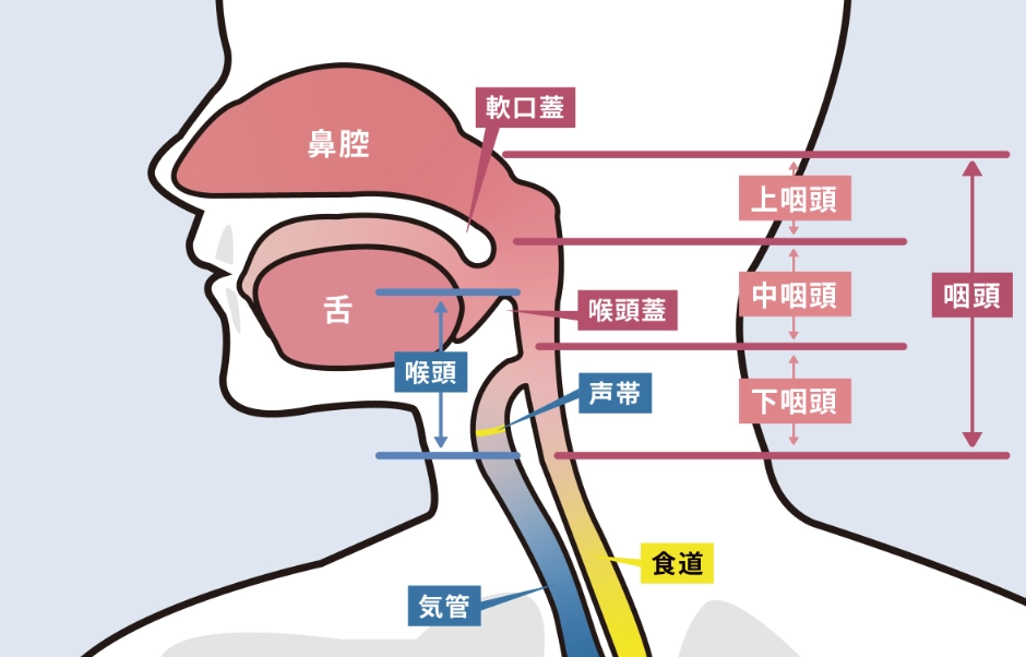 喉嚨痛舒緩 喉嚨痛舒緩